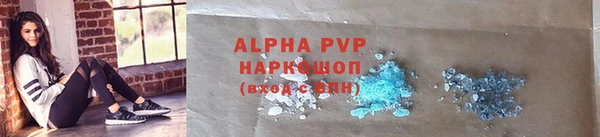 a pvp Пересвет