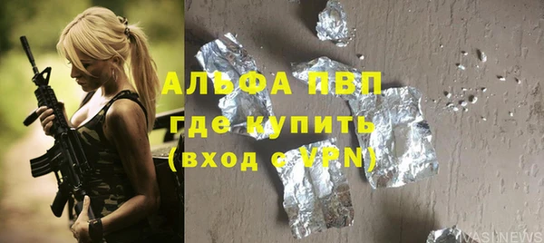 прущие грибы Переславль-Залесский